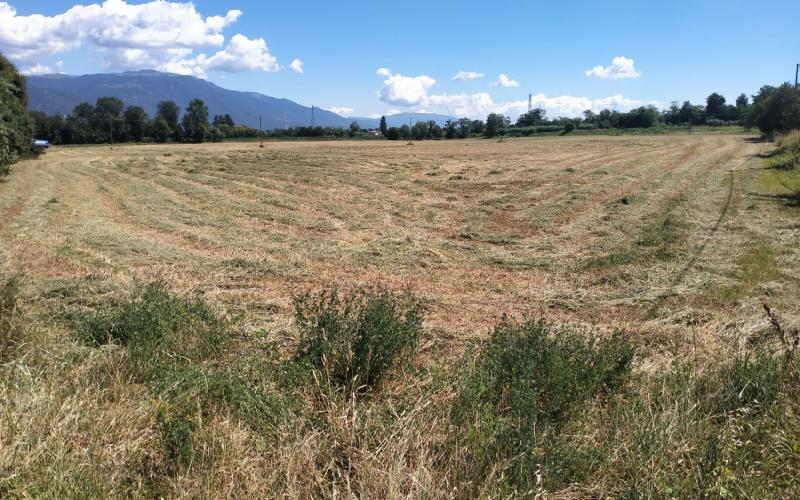 Bassanonet.it Grande Fratello Vip