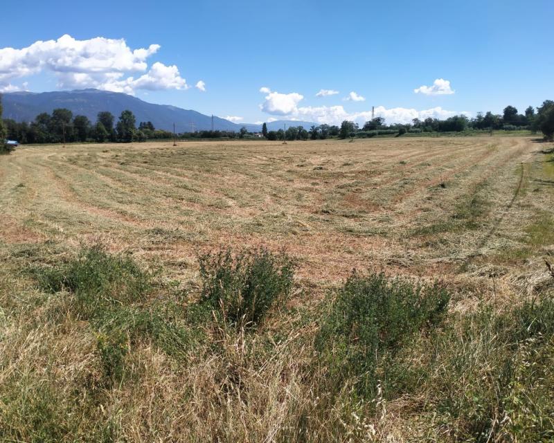 Bassanonet.it Grande Fratello Vip