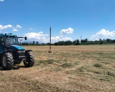 Bassanonet.it L’industriale e il contadino