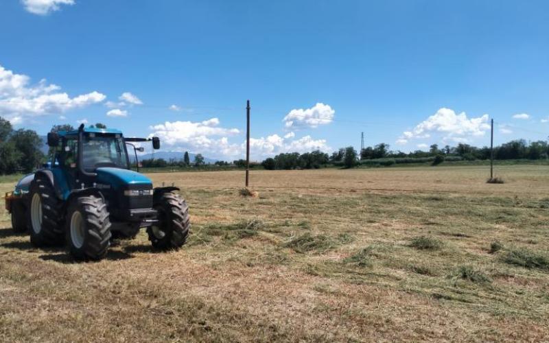 Bassanonet.it L’industriale e il contadino