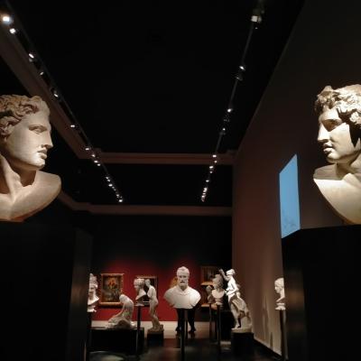 Bassanonet.it Calamita naturale