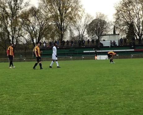 Bassanonet.it Bassano bum bum