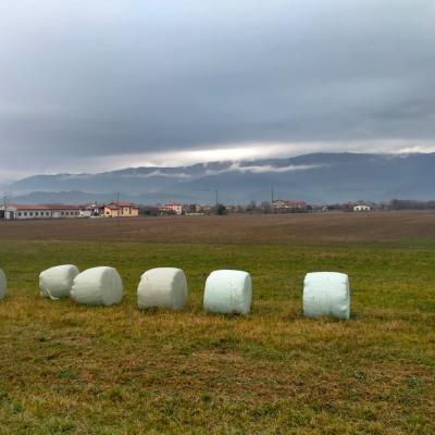 Bassanonet.it Campagna Infelix