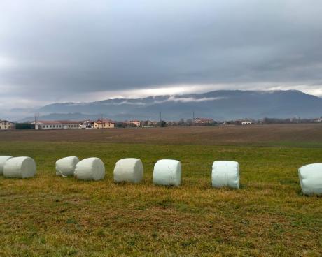 Bassanonet.it Campagna Infelix