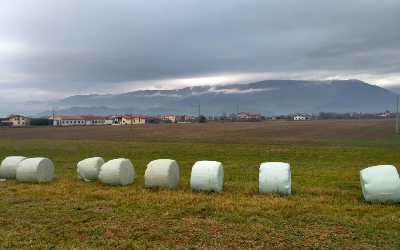Bassanonet.it Campagna Infelix