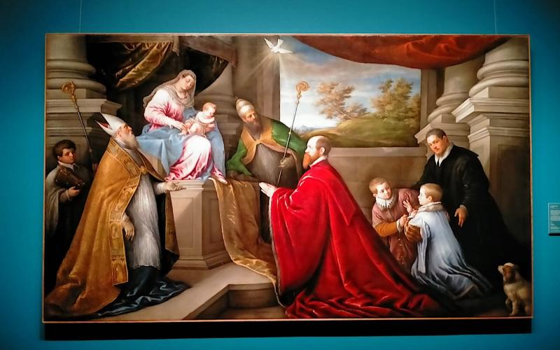 Bassanonet.it Dynasty