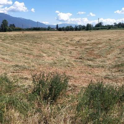 Bassanonet.it Merry Hub