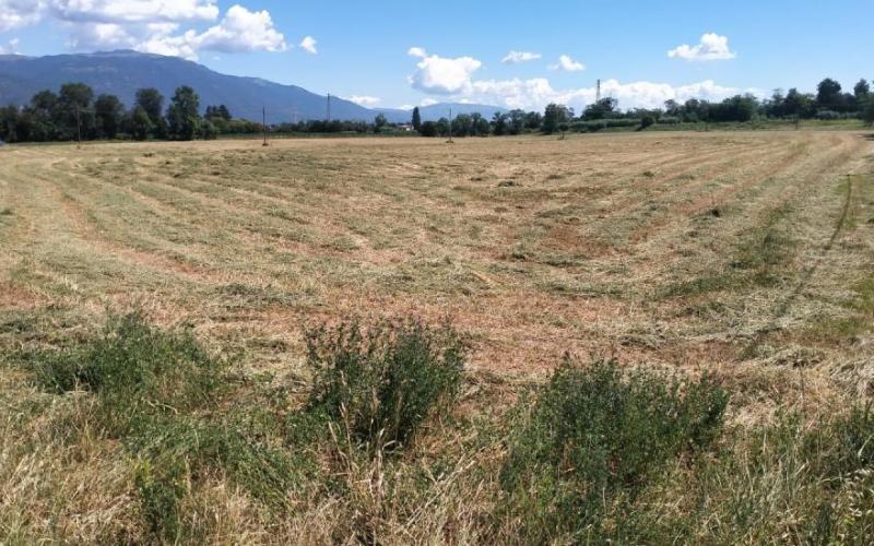 Bassanonet.it Merry Hub