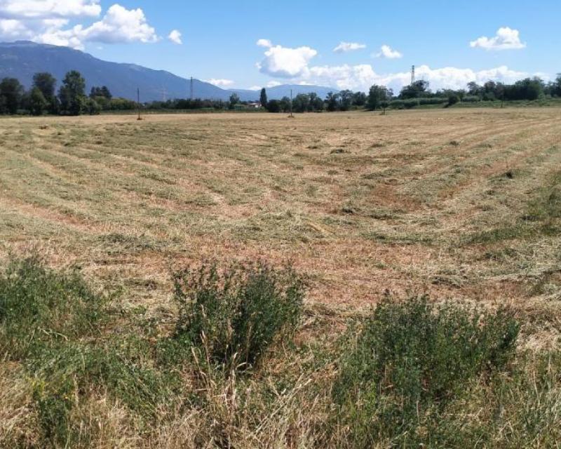 Bassanonet.it Merry Hub