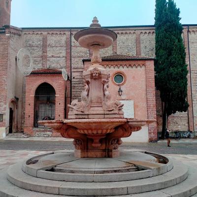 Bassanonet.it Fratello Zonta, Sorella Acqua