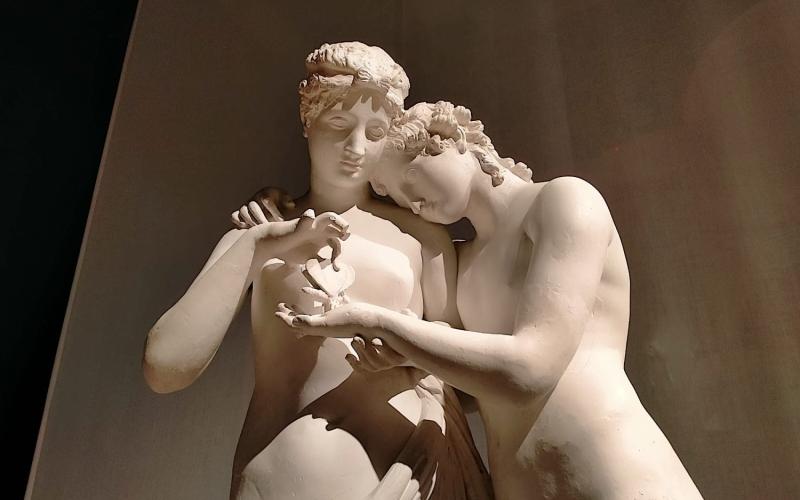 Bassanonet.it Million Dollar Baby