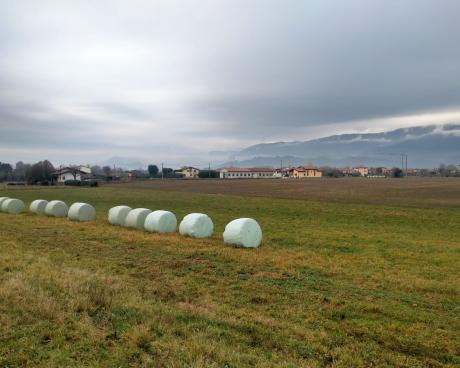 Bassanonet.it A.RI.A. di tempesta