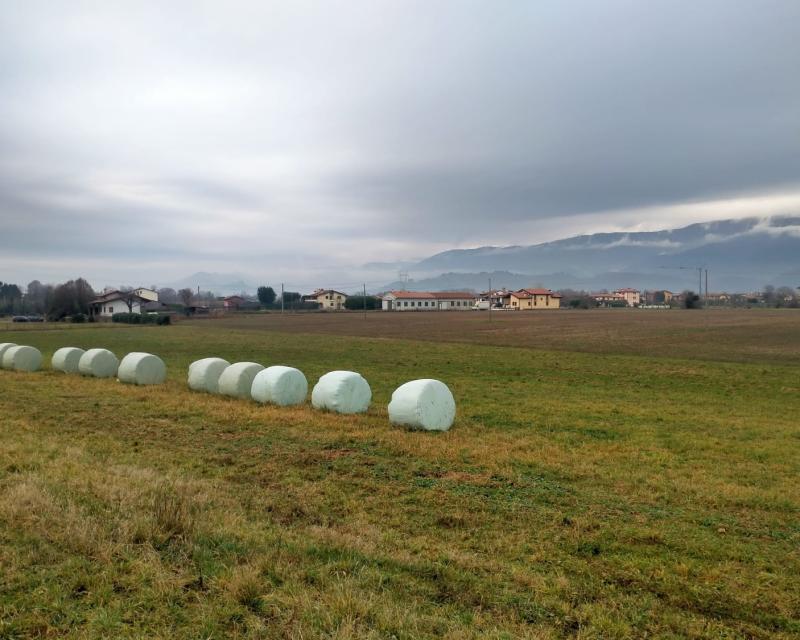 Bassanonet.it A.RI.A. di tempesta