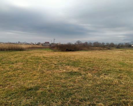 Bassanonet.it Felice di replicare