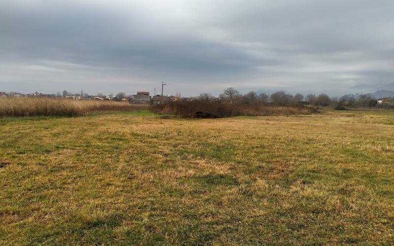 Bassanonet.it Felice di replicare