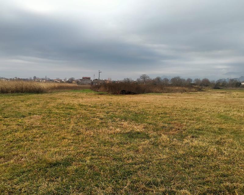 Bassanonet.it Felice di replicare