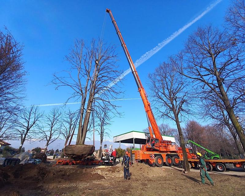 Bassanonet.it Il tiglio è mobile