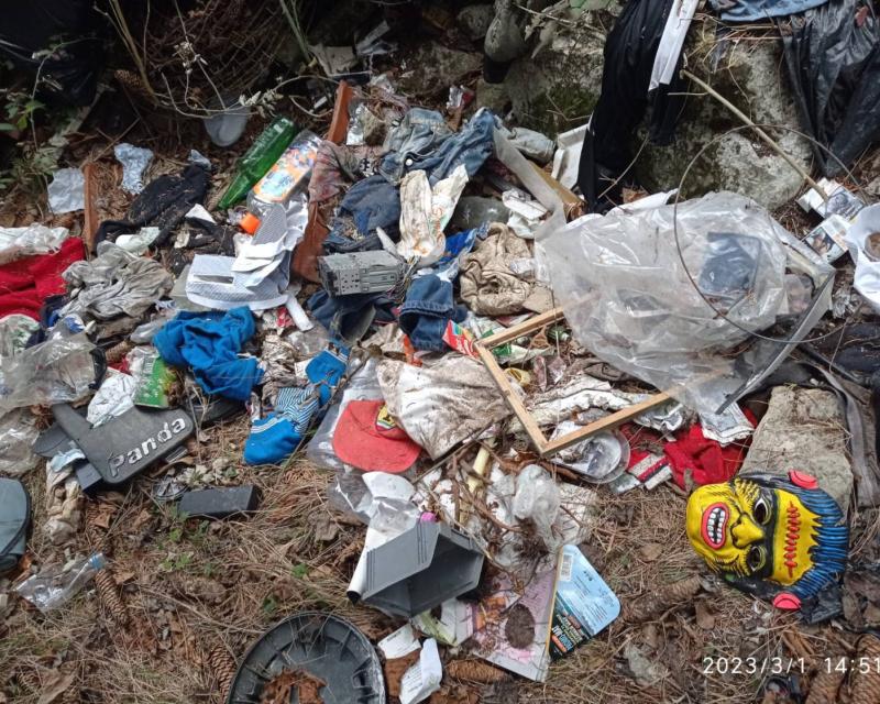 Bassanonet.it Tari, Tasi, Taxi