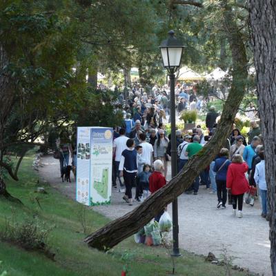 Bassanonet.it Come Natura crea