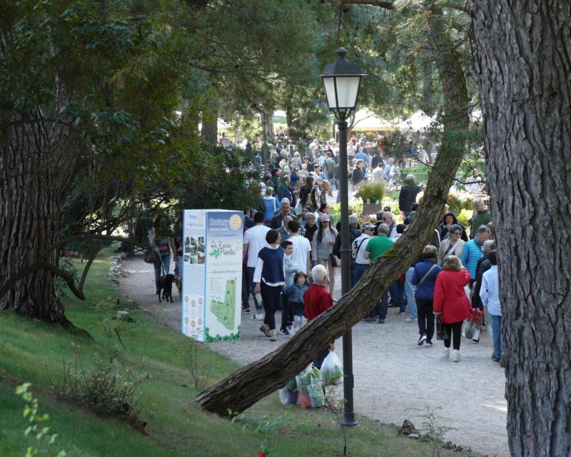 Bassanonet.it Come Natura crea