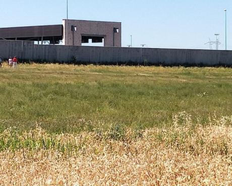 Bassanonet.it Fratella Azienda, Sorella A.RI.A