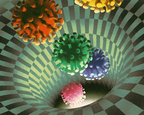 Bassanonet.it Covid Free