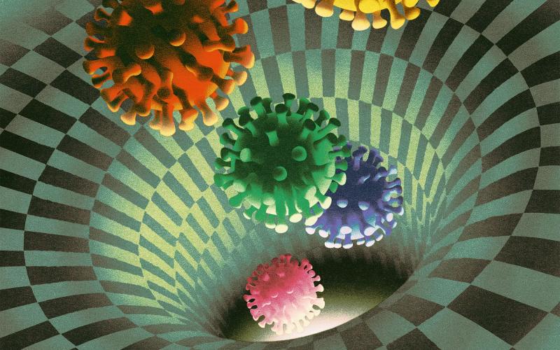 Bassanonet.it Covid Free