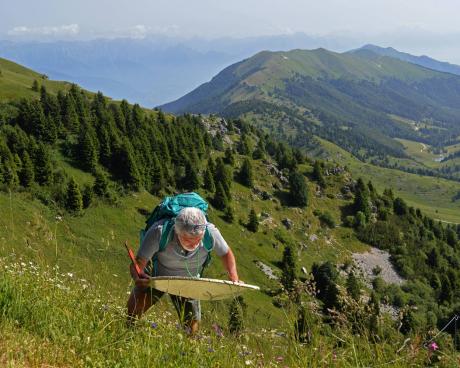 Bassanonet.it Nel regno delle <em>scarpanse</em>