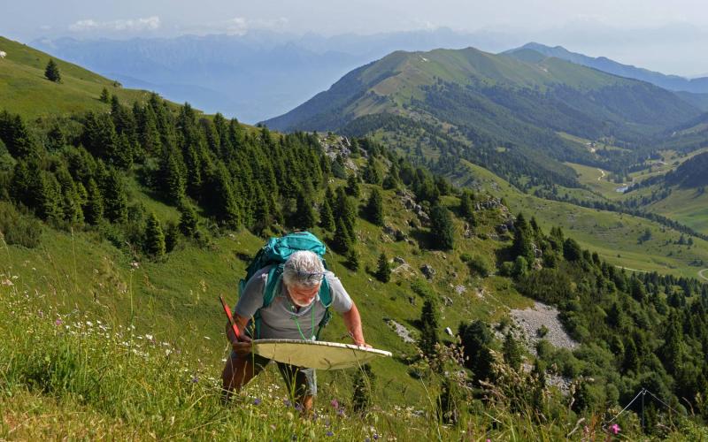 Bassanonet.it Nel regno delle <em>scarpanse</em>