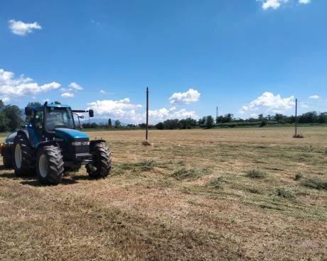 Bassanonet.it San Lazzaro in Vincoli