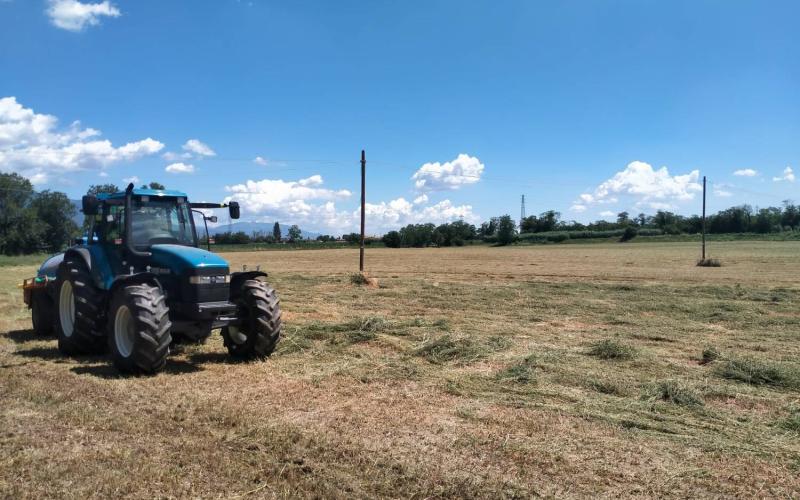 Bassanonet.it San Lazzaro in Vincoli