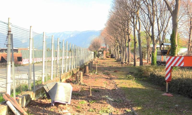 Bassanonet.it -