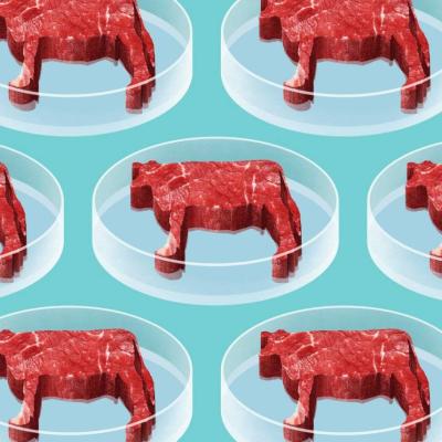 Bassanonet.it Lo stomaco di ferro della Commissione europea