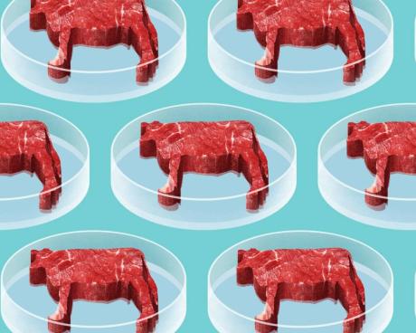 Bassanonet.it Lo stomaco di ferro della Commissione europea