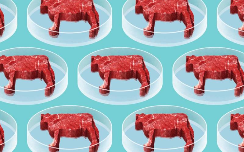 Bassanonet.it Lo stomaco di ferro della Commissione europea