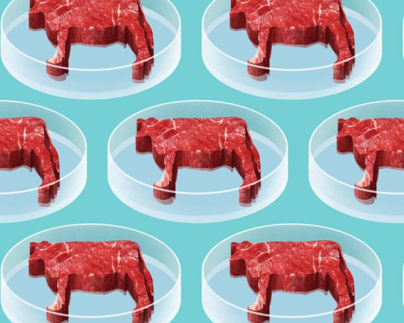 Bassanonet.it Lo stomaco di ferro della Commissione europea