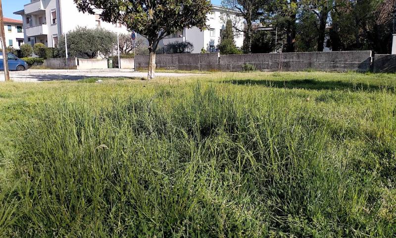 Bassanonet.it - Area verde pubblico - Quartiere San Fortunato