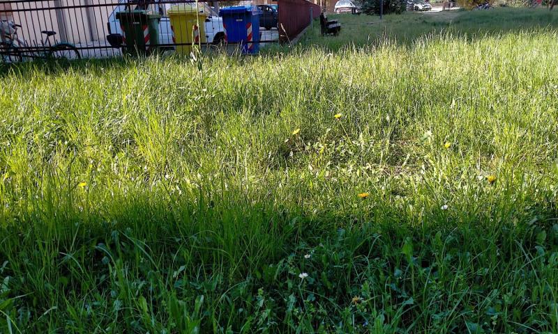 Bassanonet.it - Parco giochi - Quartiere XXV Aprile