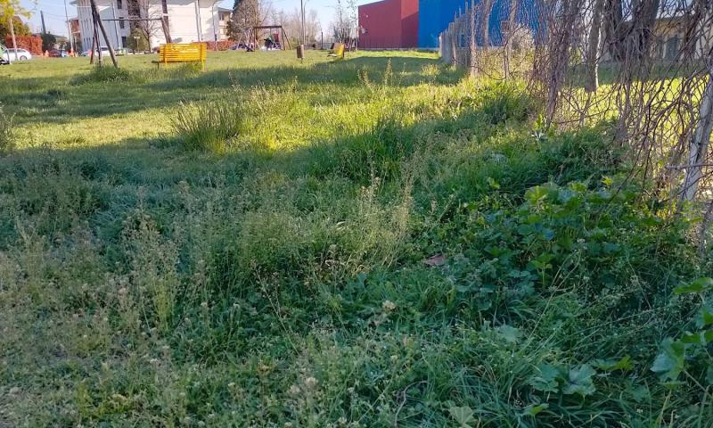 Bassanonet.it - Parco pubblico - Quartiere Rondò Brenta