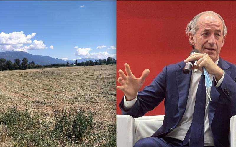 Bassanonet.it Suap Maestà