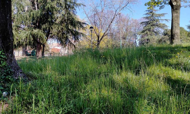 Bassanonet.it - Parco Antonio Rocca - Quartiere Firenze