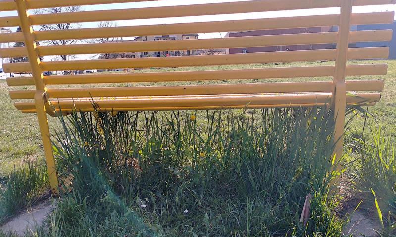 Bassanonet.it - Parco pubblico - Quartiere Rondò Brenta