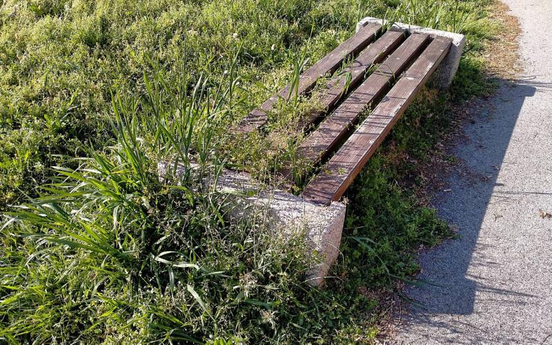 Bassanonet.it Là dove c’era l’erba