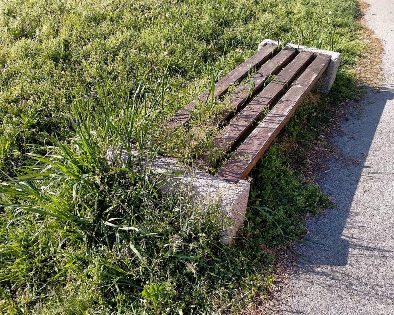 Bassanonet.it Là dove c’era l’erba