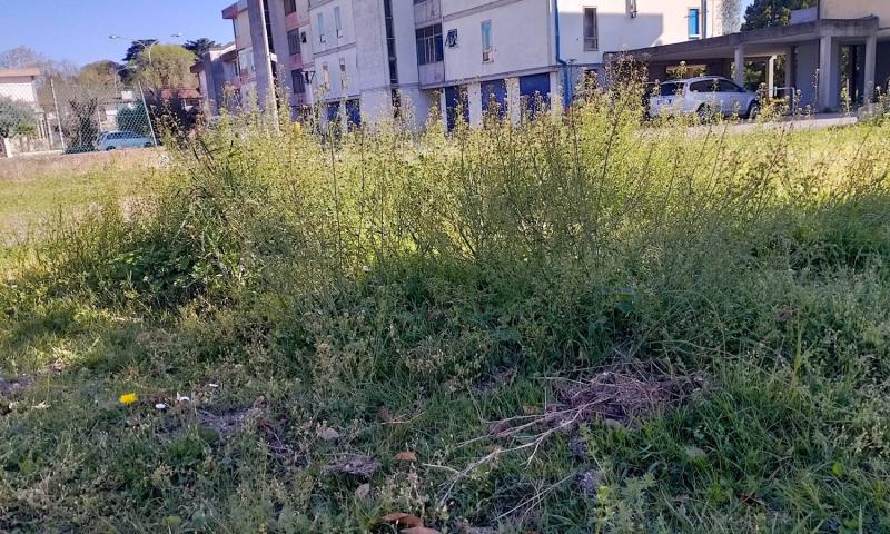 Bassanonet.it - Area verde pubblico - Quartiere Borgo Zucco