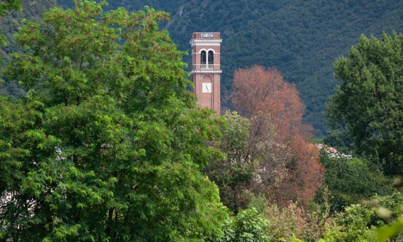 Bassanonet.it - Cà Apollonio World