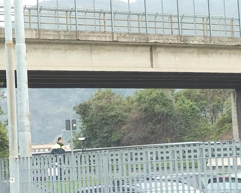 Bassanonet.it Velociraptor