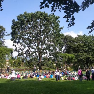 Bassanonet.it Quando una quercia fa scuola