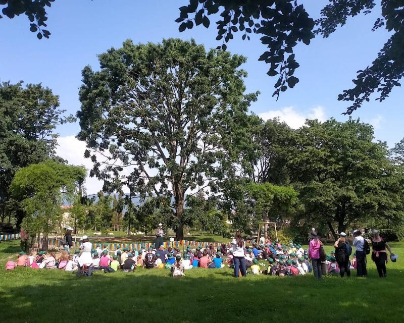 Bassanonet.it Quando una quercia fa scuola