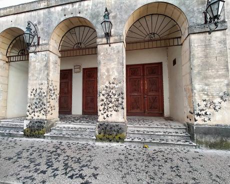 Bassanonet.it Stile Farfalla